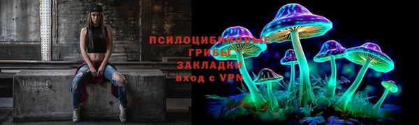 ГАЛЛЮЦИНОГЕННЫЕ ГРИБЫ Алексеевка