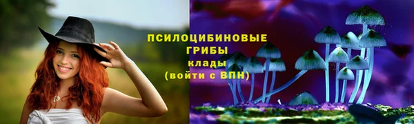 ГАЛЛЮЦИНОГЕННЫЕ ГРИБЫ Алексеевка